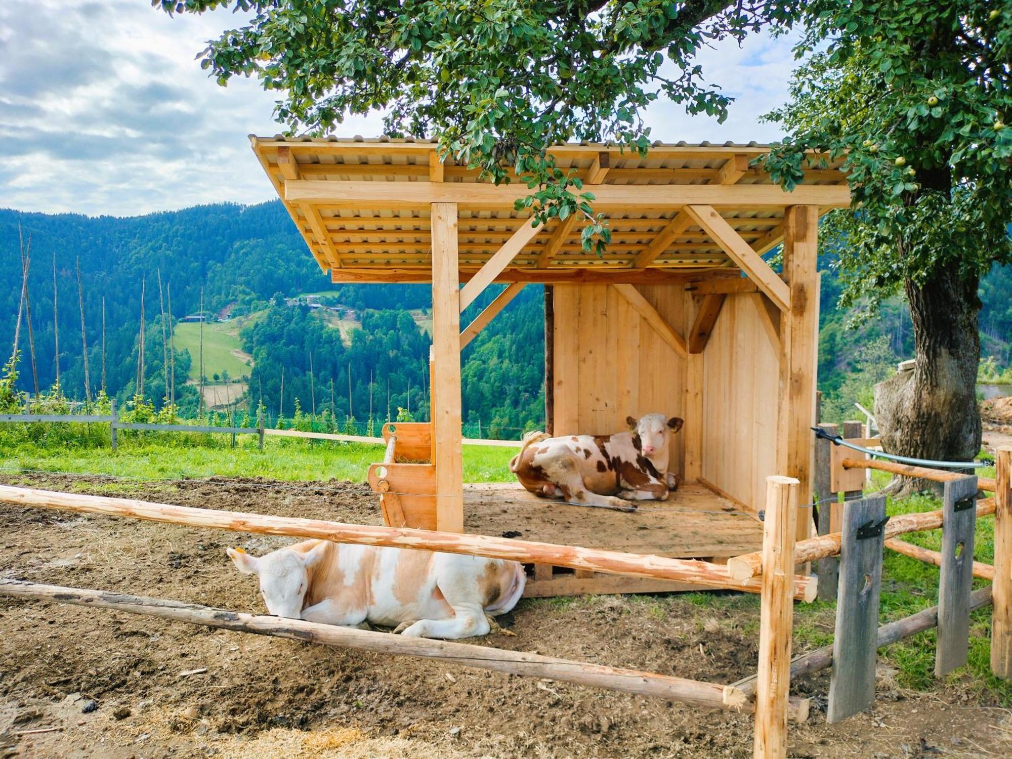 Apartments Organic Tourist Farm Gradisnik Prevalje المظهر الخارجي الصورة
