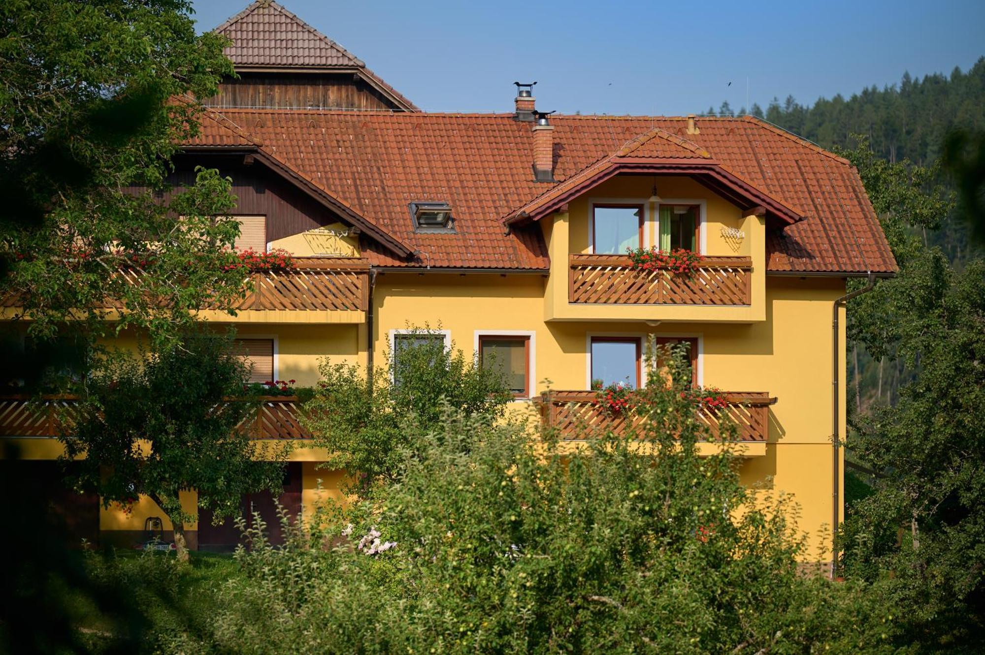 Apartments Organic Tourist Farm Gradisnik Prevalje المظهر الخارجي الصورة
