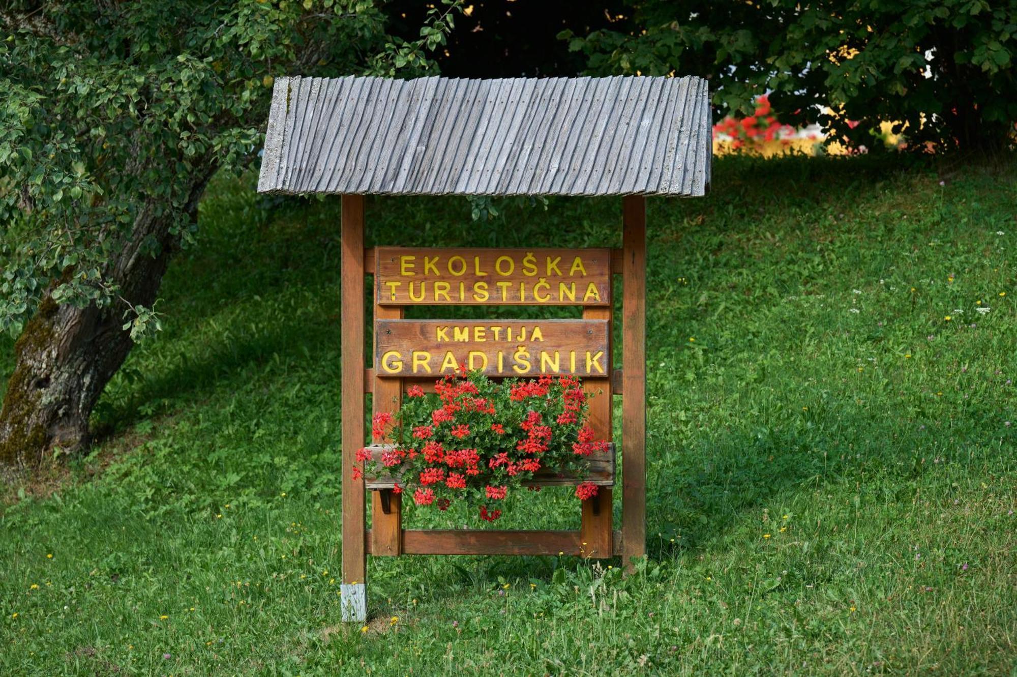 Apartments Organic Tourist Farm Gradisnik Prevalje المظهر الخارجي الصورة