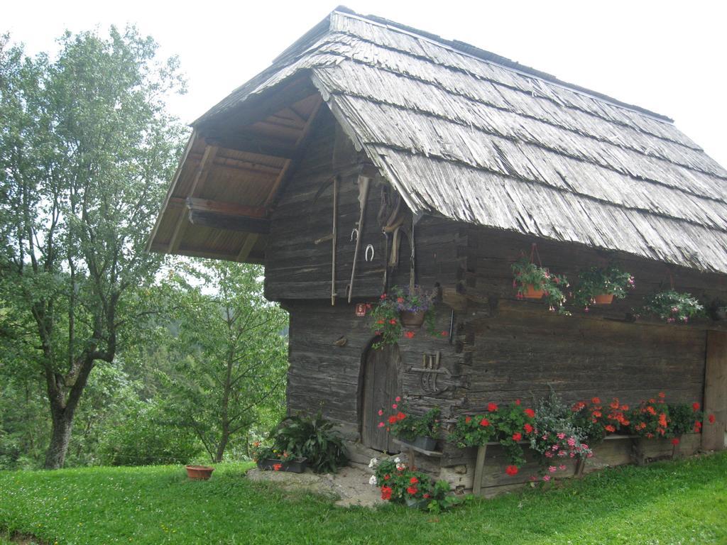Apartments Organic Tourist Farm Gradisnik Prevalje المظهر الخارجي الصورة