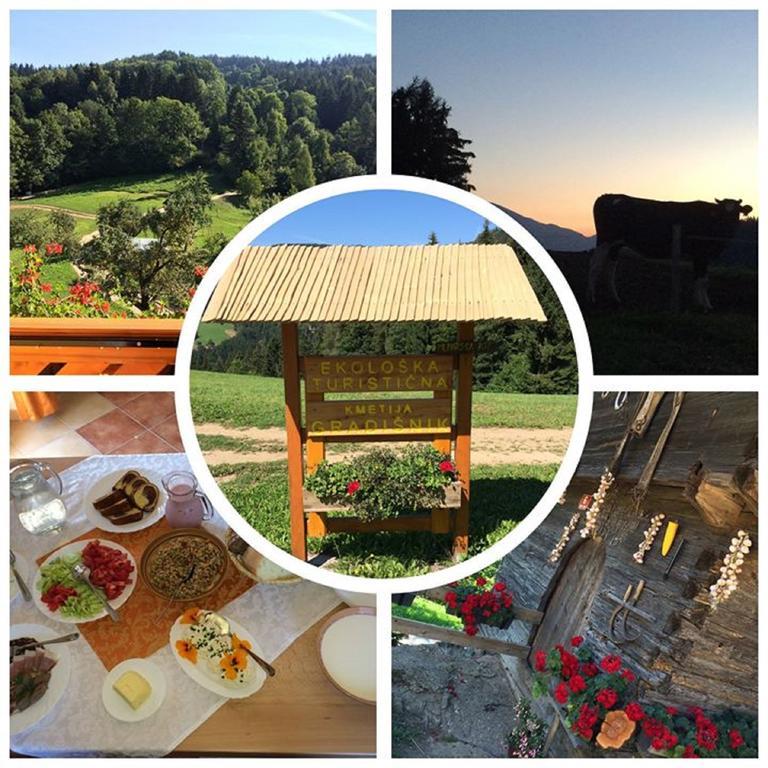Apartments Organic Tourist Farm Gradisnik Prevalje المظهر الخارجي الصورة