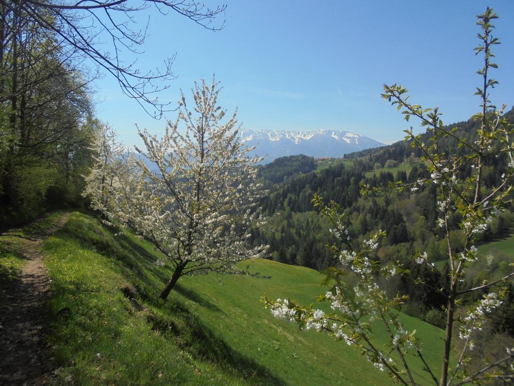 Apartments Organic Tourist Farm Gradisnik Prevalje المظهر الخارجي الصورة
